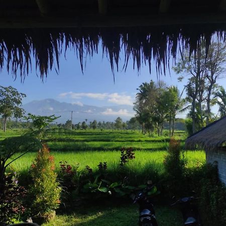New Rinjani Homestay Tetebatu Buitenkant foto