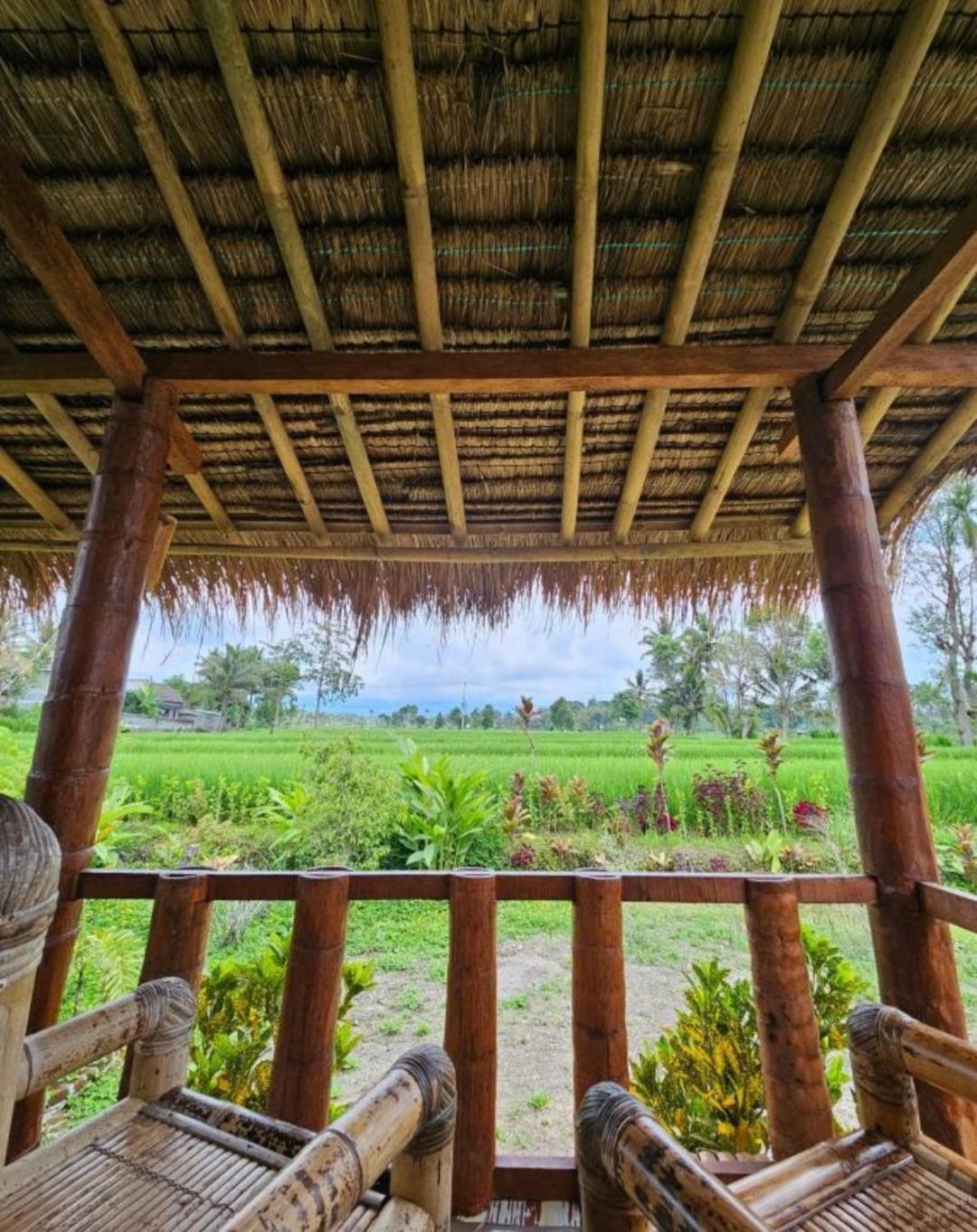 New Rinjani Homestay Tetebatu Buitenkant foto