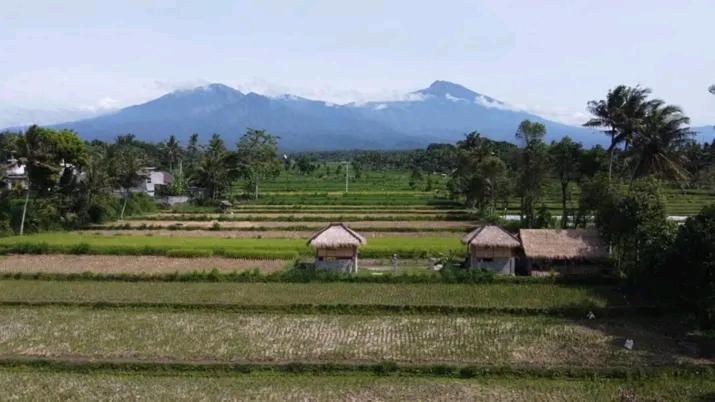 New Rinjani Homestay Tetebatu Buitenkant foto