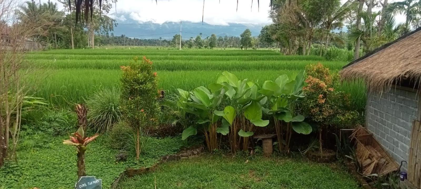 New Rinjani Homestay Tetebatu Kamer foto