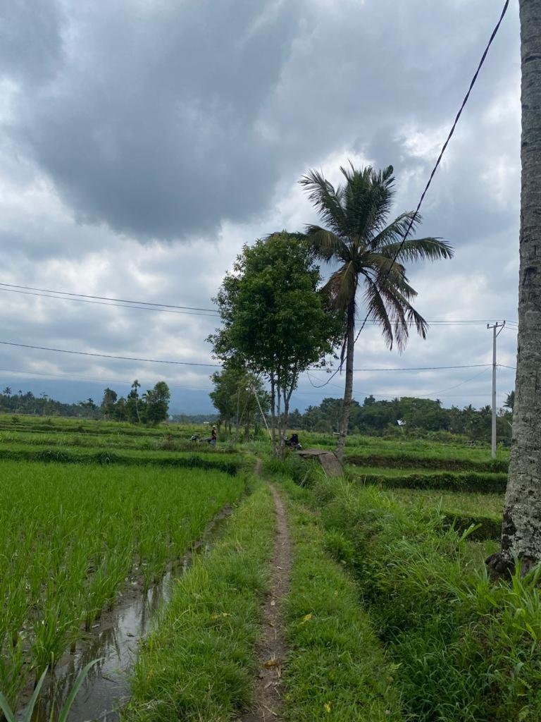 New Rinjani Homestay Tetebatu Kamer foto
