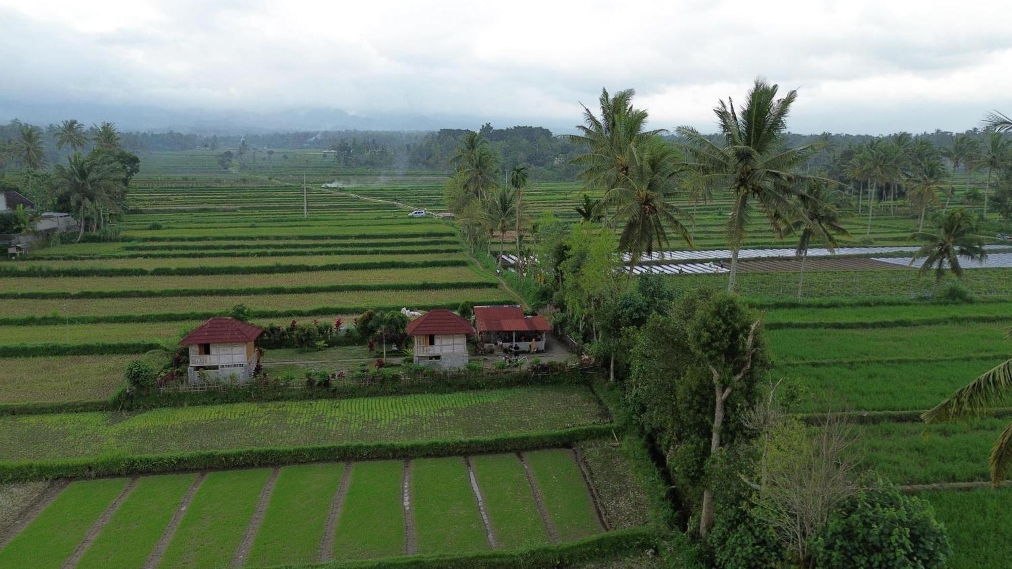 New Rinjani Homestay Tetebatu Buitenkant foto