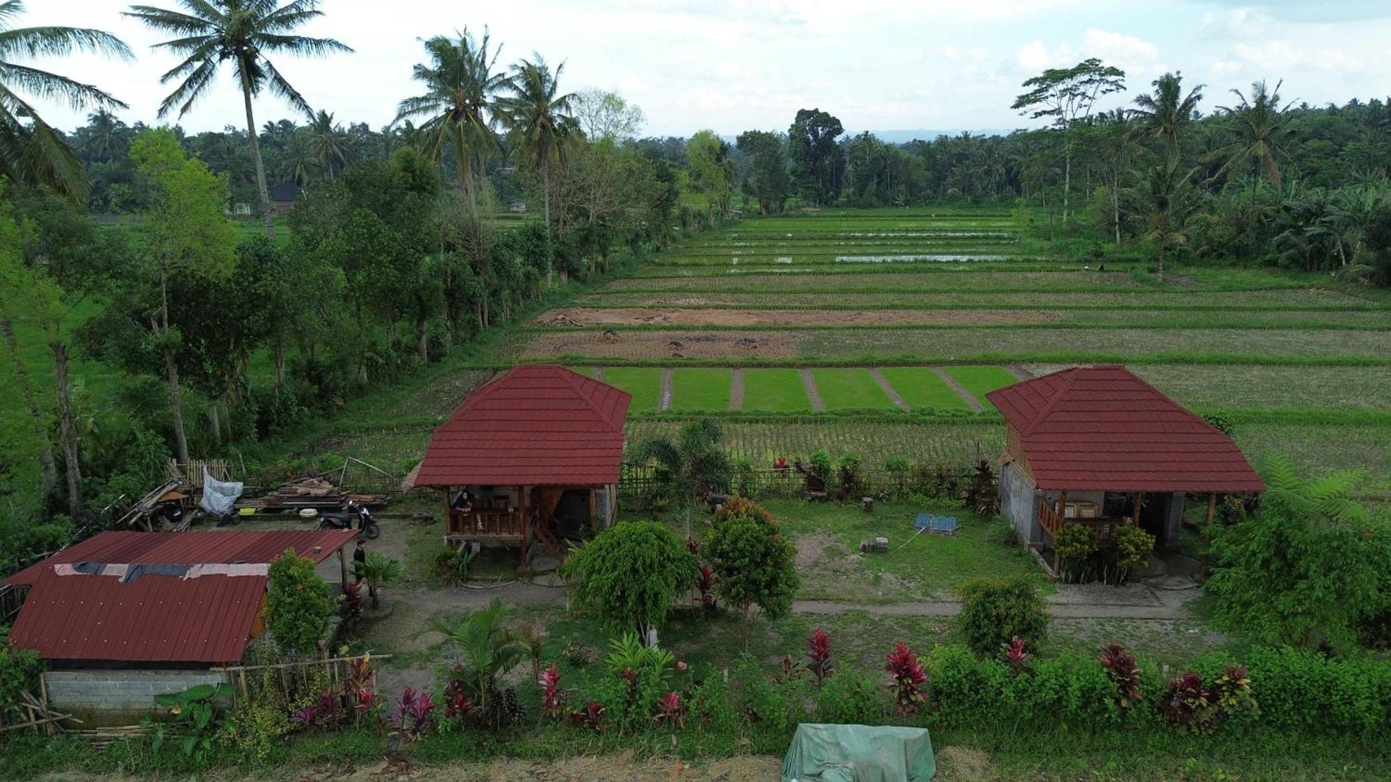 New Rinjani Homestay Tetebatu Buitenkant foto