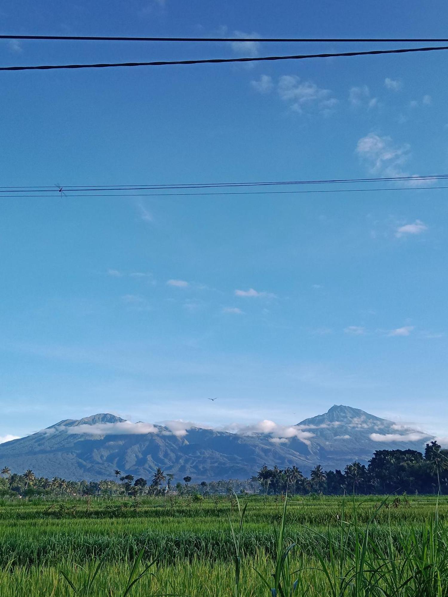 New Rinjani Homestay Tetebatu Buitenkant foto